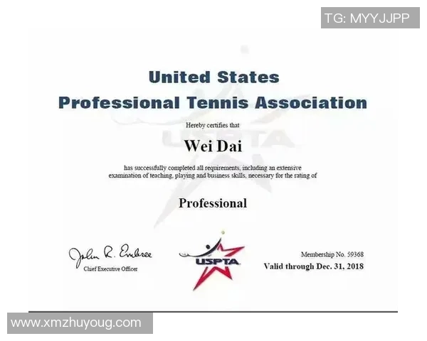 西安网球队在全国网球战术排行榜中荣获第九名的辉煌成就 西安网球队在全国网球战术排行榜中荣获第九名的辉煌成就