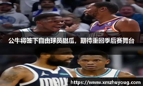 公牛将签下自由球员甜瓜，期待重回季后赛舞台