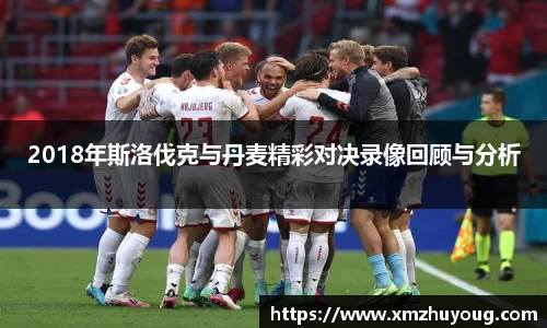 2018年斯洛伐克与丹麦精彩对决录像回顾与分析
