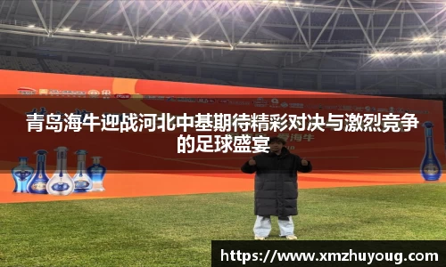 青岛海牛迎战河北中基期待精彩对决与激烈竞争的足球盛宴
